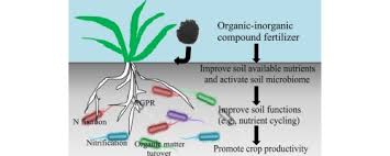 organic inorganic compound fertilizer