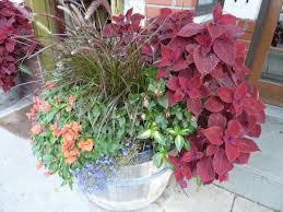 Outdoor Container Flower Gardening