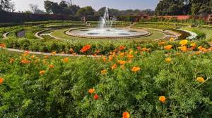 amrit udyan mughal garden delhi
