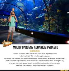 texas pr moody gardens aquarium pyramid