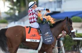 The kentucky derby is the longest running sporting event in the u.s. Who S In Out And On The 2020 Kentucky Derby Points Bubble