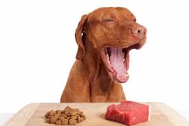 why i feed my pets raw the dogington post