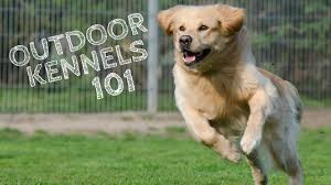 outdoor kennels 101 tips tricks and