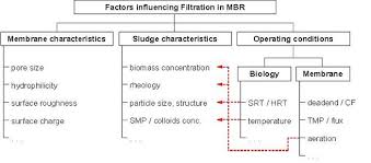 Membrane Bioreactor Wikipedia