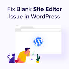 how to fix blank site editor issue in