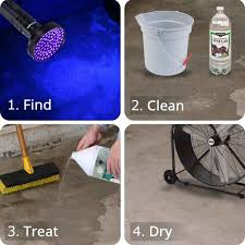 how to clean dog urine from cement