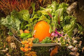 fall vegetable gardening guide