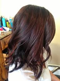 Hidden flaming red highlights on black hair is exactly what you are looking for when it comes to freshening up your image. 30 Ideas To Change Your Look With Hair Highlights With Images Hair Styles Cherry Hair Hair Highlights