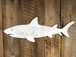 Wooden Shark On
