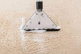 signs that your carpet could have mold