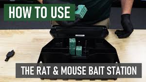 solutions rat mouse bait station