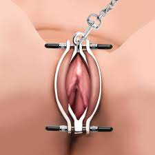 Adjustable Pussy Clamp with Leash – The BDSM Toy Shop