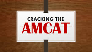 what is a good score in the amcat test