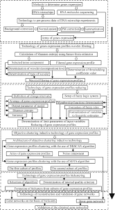 Structure Flow Chart Of The Information Technology Of The