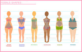 10 Disclosed Anime Body Types Female Chart