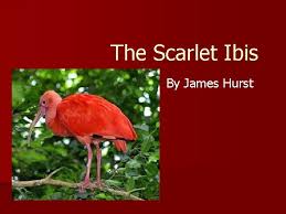 James Hurst’s story “The Scarlet Ibis”