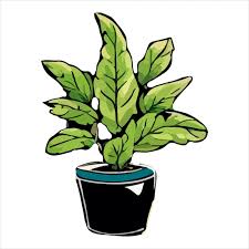 A Drawing Of A Plant In A Pot That Says