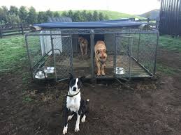 We did not find results for: How To Improve Your Working Dog Kennels Anexa