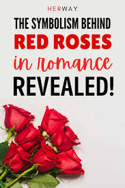 red rose meaning in a relationship 12