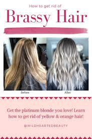 If you want your hair to be a light ash blonde, you. Platinum Hair Blonde Hair How To Get Rid Of Brassy Hair How To Get Rid Of Yellow Hair Purple Shampoo Brassy Hair Brassy Blonde Hair Yellow Blonde Hair