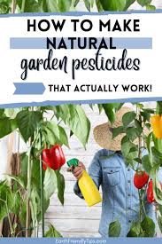 how to make natural garden pesticides