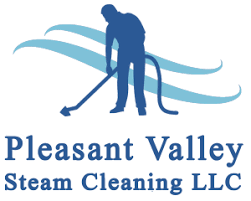 cleaning company testimonials reviews