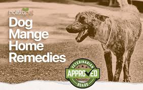 demodectic mange relief for dogs all