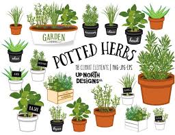 Potted Herbs Clipart Herb Garden Aloe