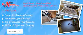 professional carpet cleaning in eau