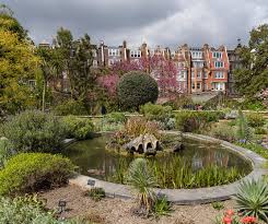 chelsea physic garden in london
