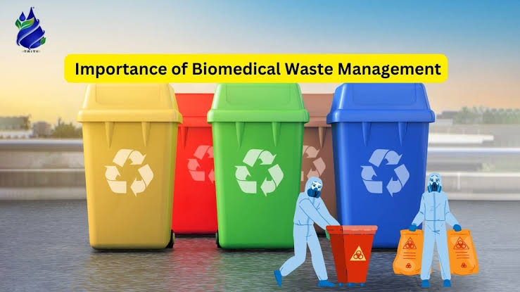 Waste Management Image