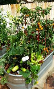 Grow A Container Vegetable Garden On