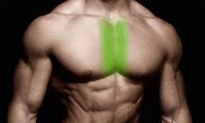 best inner chest exercises how to