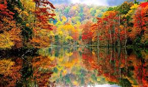 Image result for autumn meaning