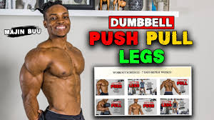 push pull legs workout plan