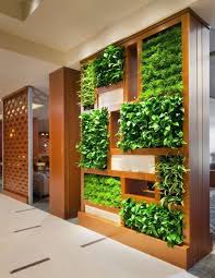 Living Wall And Vertical Garden Ideas