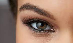 synthetic or silk lashes the lash