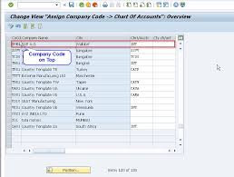 accounts in sap assign company code