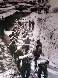 Among these mauthausen had the most brutal detention conditions. These Harrowing Photos Show The Horror Of Mauthausen Concentration Camp Including The Infamous Stairs Of Death Where Over 122 000 People Died
