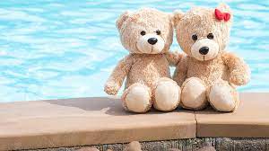 teddy bears in water pool background