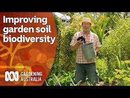Your Garden Soil Gardening 101