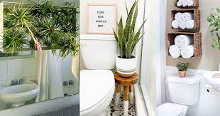 Put Plants In Bathroom