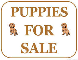 Printable Puppies For Sale Sign Free Printables 2 For Sale Sign