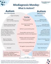 autism in s