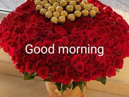 happy rose day 2024 good morning images