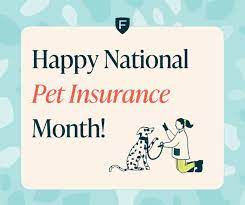 National Pet Insurance Month gambar png