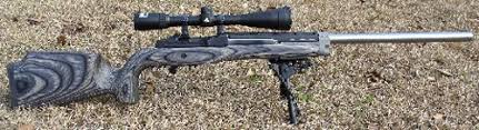 ruger mini remington ar10 ar15 accuracy