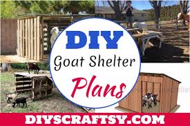 15 Free Diy Goat Shelter Plans For All