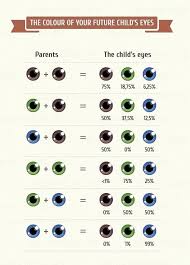 Will Your Baby Look Like You Or Your Partner Eye Color