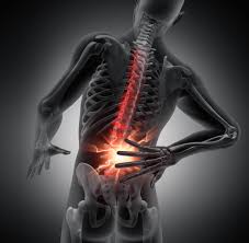 1,586 Lower Back Pain Stock Photos, Pictures & Royalty-Free Images - iStock